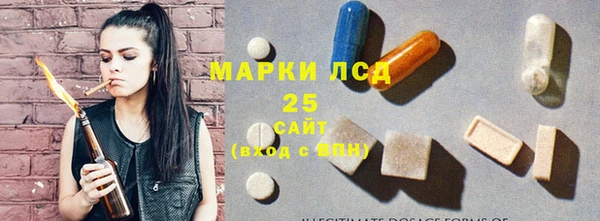 хмурый Арсеньев